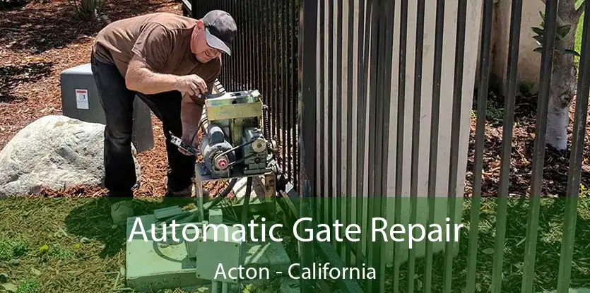 Automatic Gate Repair Acton - California