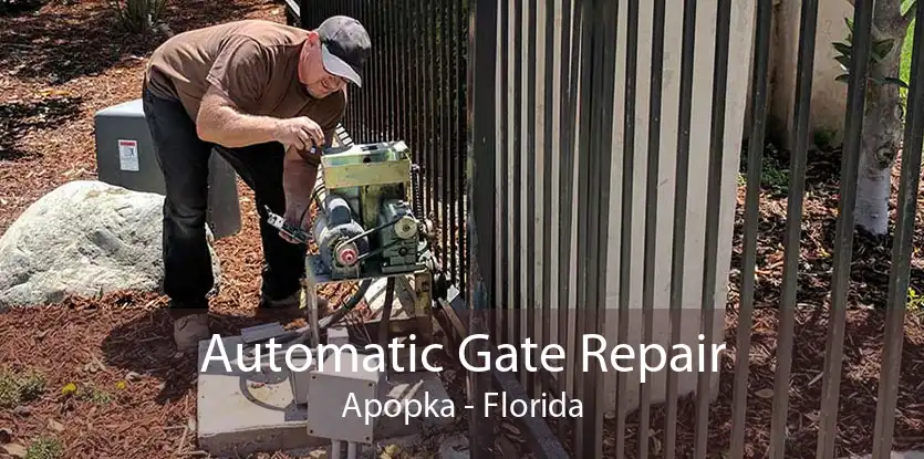 Automatic Gate Repair Apopka - Florida