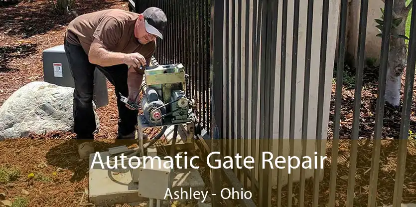 Automatic Gate Repair Ashley - Ohio