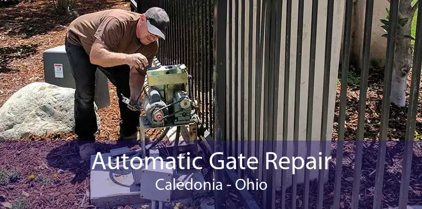 Automatic Gate Repair Caledonia - Ohio
