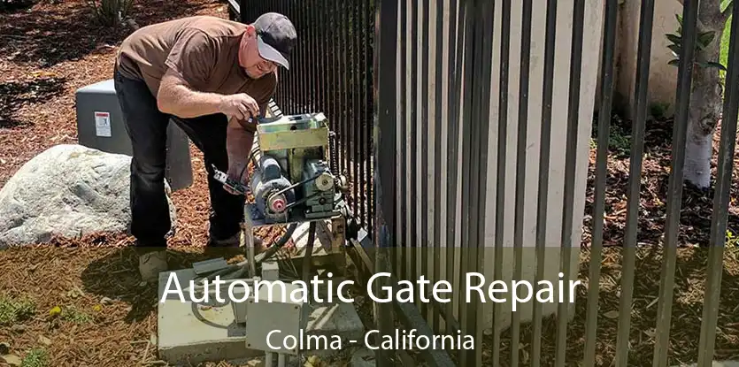 Automatic Gate Repair Colma - California