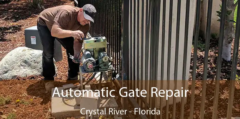 Automatic Gate Repair Crystal River - Florida