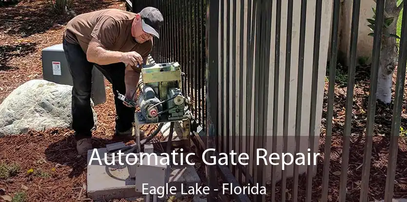 Automatic Gate Repair Eagle Lake - Florida