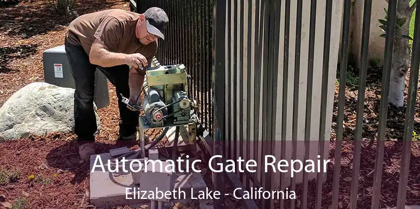 Automatic Gate Repair Elizabeth Lake - California