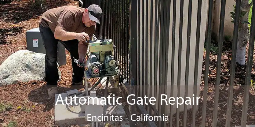 Automatic Gate Repair Encinitas - California