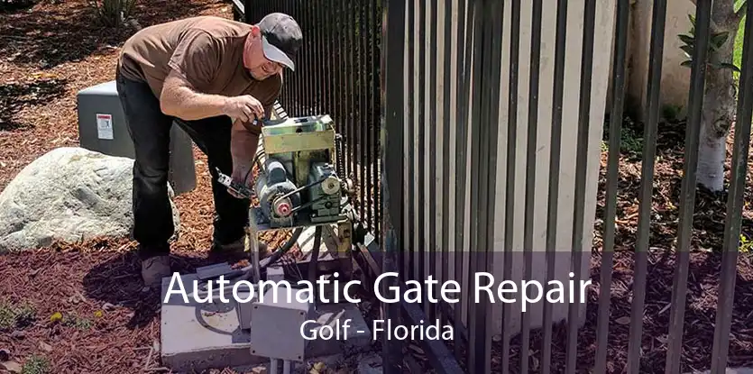 Automatic Gate Repair Golf - Florida
