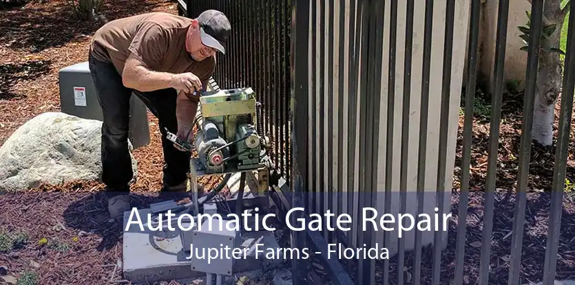 Automatic Gate Repair Jupiter Farms - Florida