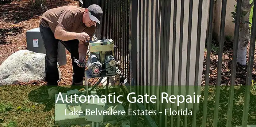 Automatic Gate Repair Lake Belvedere Estates - Florida