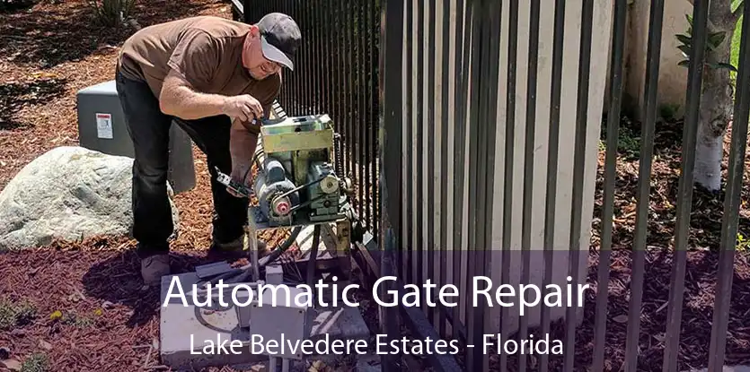 Automatic Gate Repair Lake Belvedere Estates - Florida