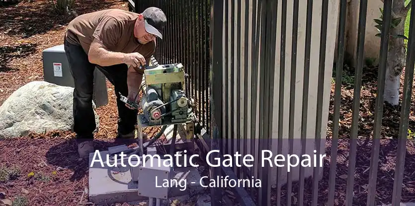 Automatic Gate Repair Lang - California