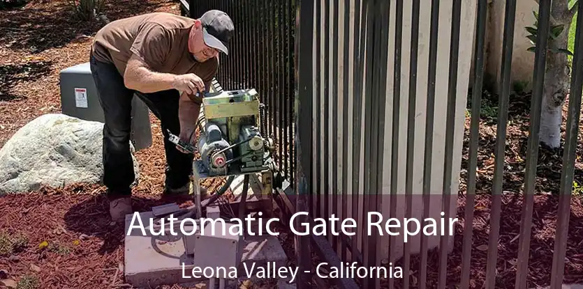 Automatic Gate Repair Leona Valley - California