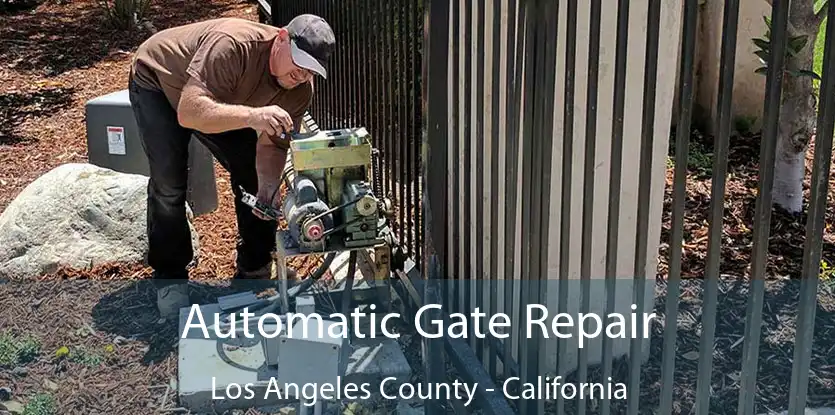 Automatic Gate Repair Los Angeles County - California