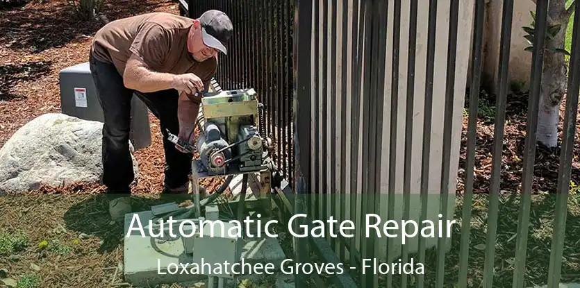 Automatic Gate Repair Loxahatchee Groves - Florida