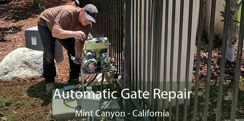 Automatic Gate Repair Mint Canyon - California