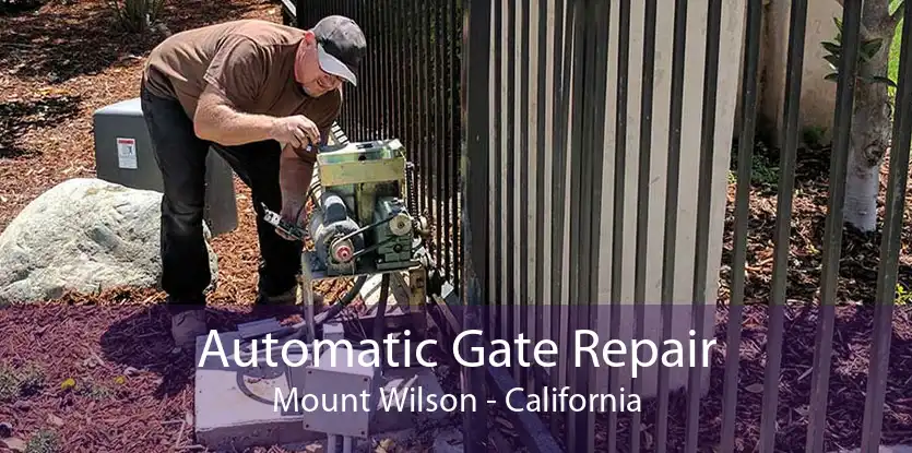 Automatic Gate Repair Mount Wilson - California