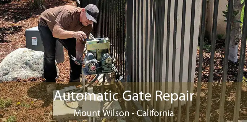 Automatic Gate Repair Mount Wilson - California