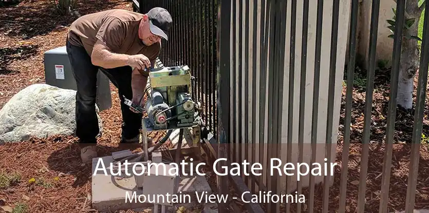 Automatic Gate Repair Mountain View - California