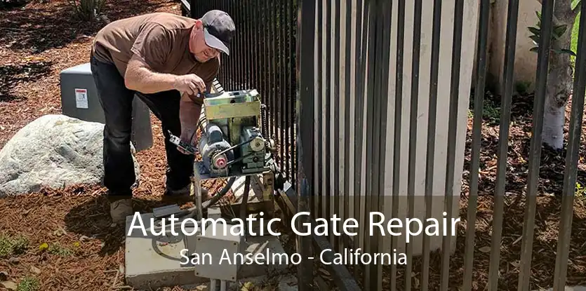Automatic Gate Repair San Anselmo - California