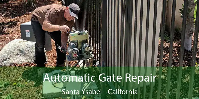 Automatic Gate Repair Santa Ysabel - California