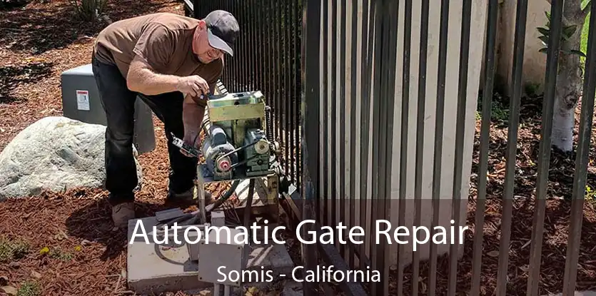 Automatic Gate Repair Somis - California