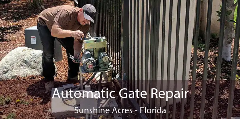 Automatic Gate Repair Sunshine Acres - Florida