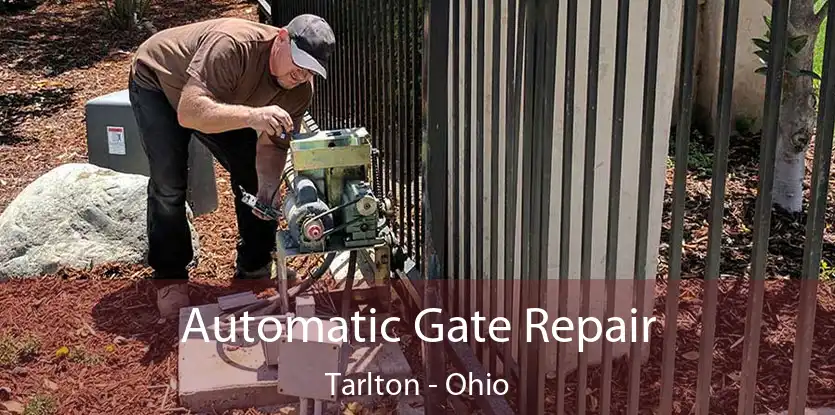 Automatic Gate Repair Tarlton - Ohio