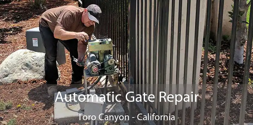 Automatic Gate Repair Toro Canyon - California