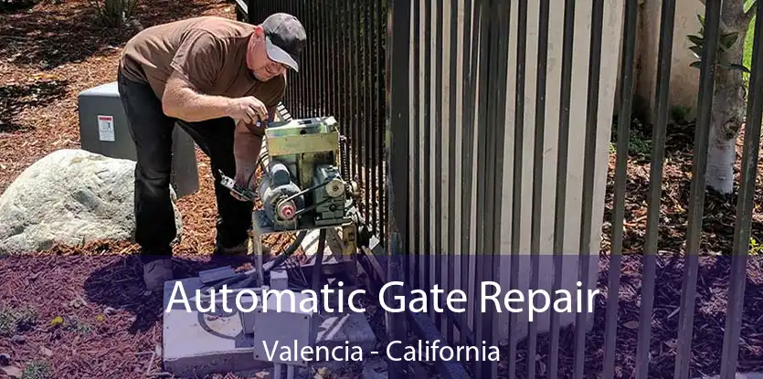 Automatic Gate Repair Valencia - California