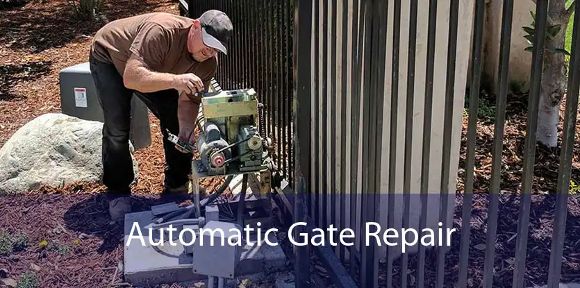 Automatic Gate Repair 