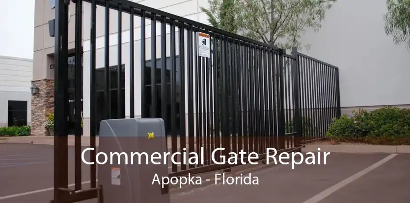 Commercial Gate Repair Apopka - Florida