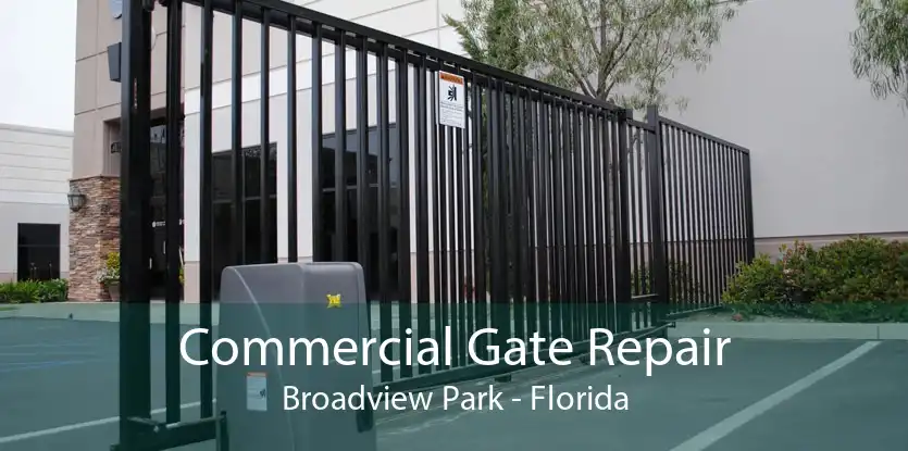 Commercial Gate Repair Broadview Park - Florida