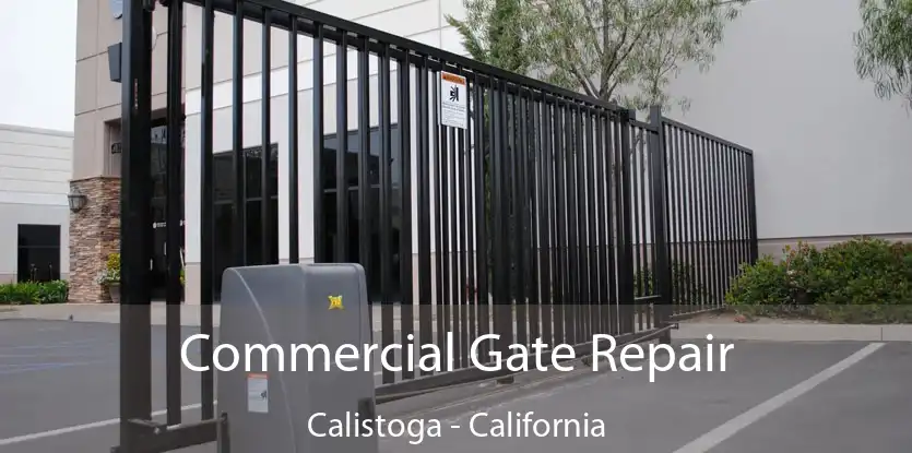 Commercial Gate Repair Calistoga - California