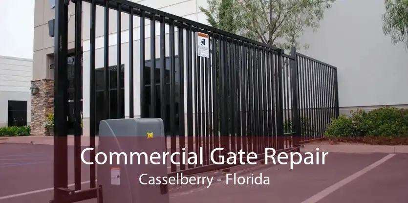 Commercial Gate Repair Casselberry - Florida