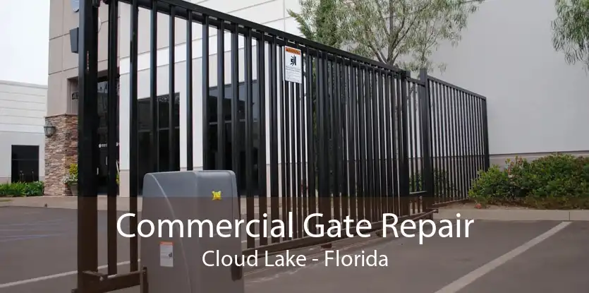 Commercial Gate Repair Cloud Lake - Florida