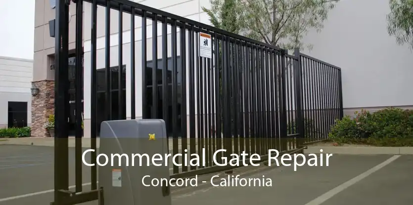 Commercial Gate Repair Concord - California