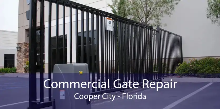 Commercial Gate Repair Cooper City - Florida
