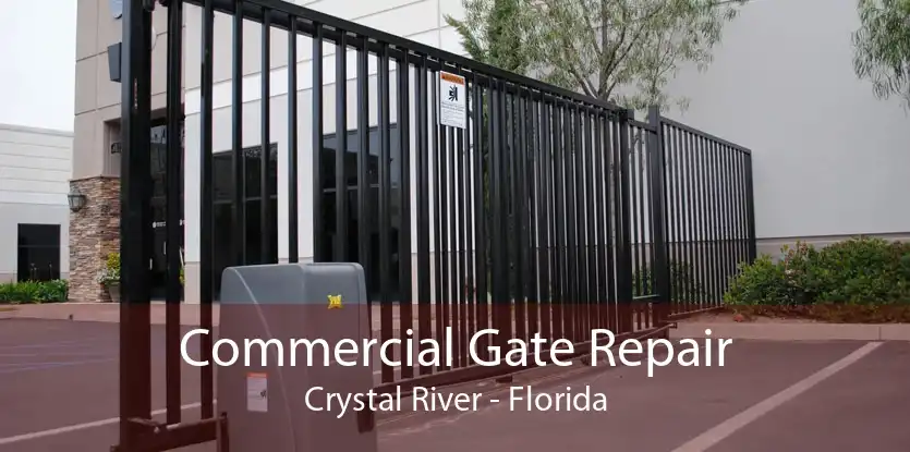 Commercial Gate Repair Crystal River - Florida