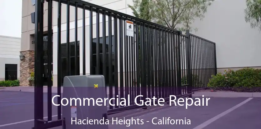 Commercial Gate Repair Hacienda Heights - California