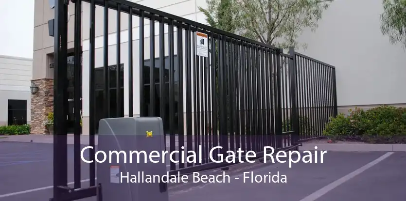 Commercial Gate Repair Hallandale Beach - Florida