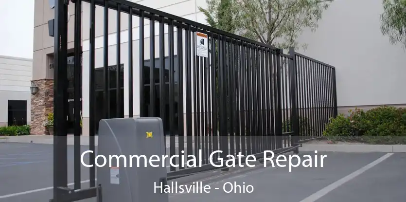 Commercial Gate Repair Hallsville - Ohio