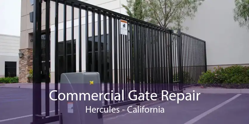 Commercial Gate Repair Hercules - California