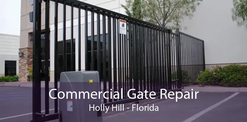 Commercial Gate Repair Holly Hill - Florida