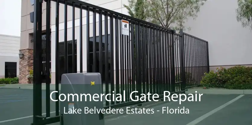 Commercial Gate Repair Lake Belvedere Estates - Florida
