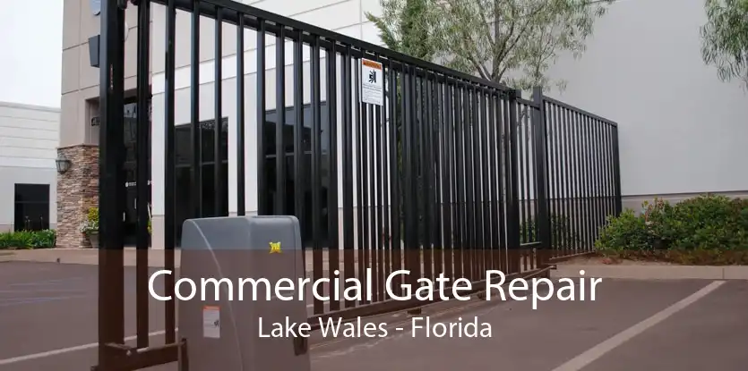 Commercial Gate Repair Lake Wales - Florida