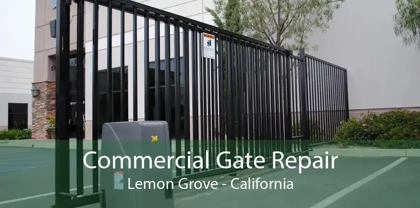 Commercial Gate Repair Lemon Grove - California
