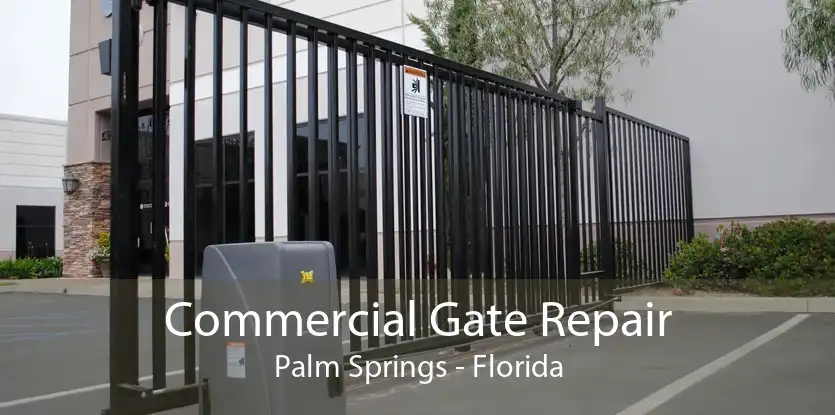Commercial Gate Repair Palm Springs - Florida