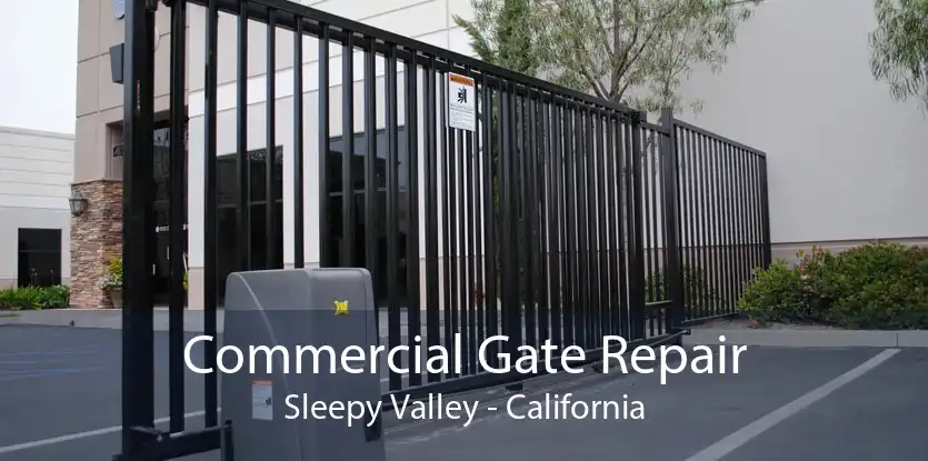 Commercial Gate Repair Sleepy Valley - California