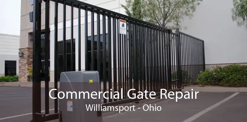 Commercial Gate Repair Williamsport - Ohio