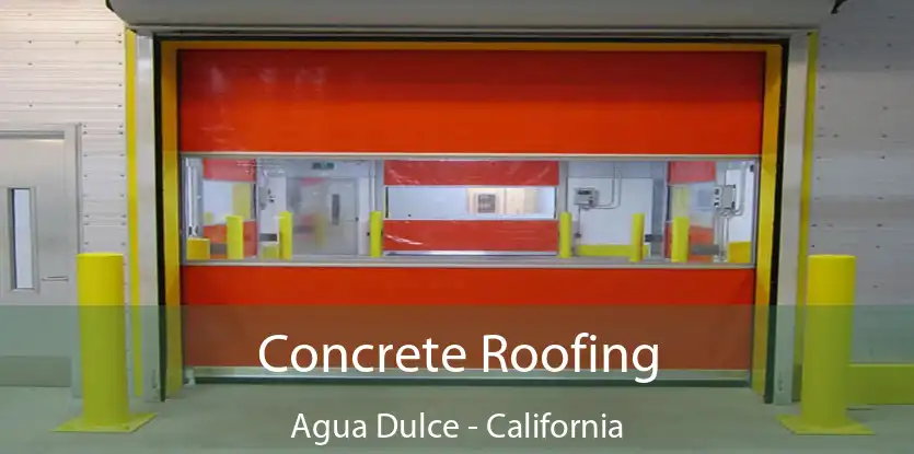 Concrete Roofing Agua Dulce - California