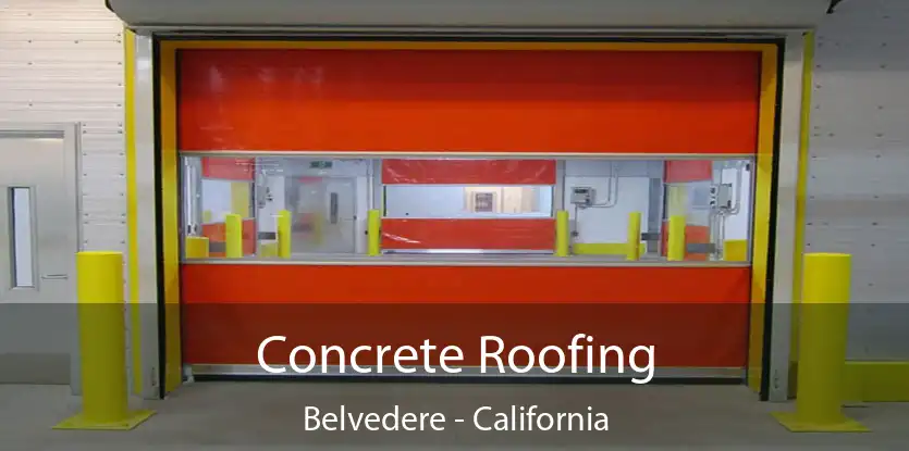 Concrete Roofing Belvedere - California